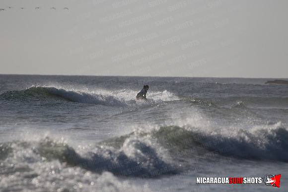 NSR_0334_Panga_Drops_January_23_2022_LR