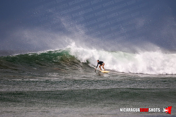 NSS_0592_Panga_Drops_January_29_2022_CC_Logo