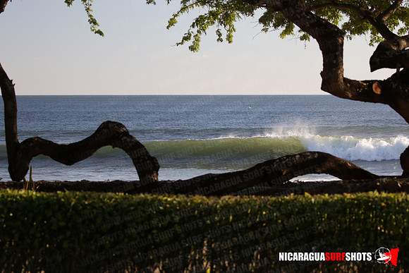 NSR_0007_Panga_Drops_February_02_2022_LR