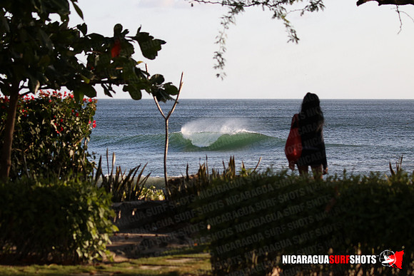 NSR_0004_Panga_Drops_January_18_2022_LR