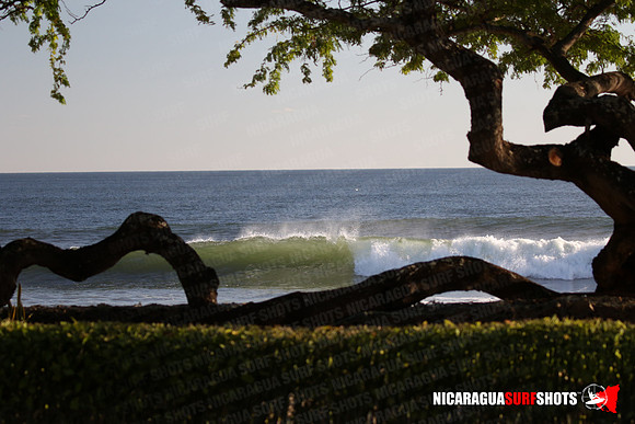 NSR_0016_Panga_Drops_February_02_2022_LR