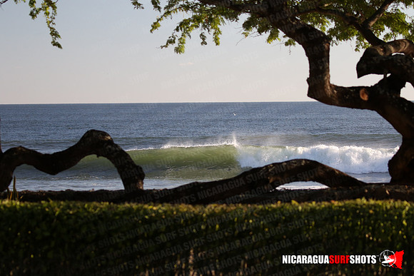 NSR_0014_Panga_Drops_February_02_2022_LR