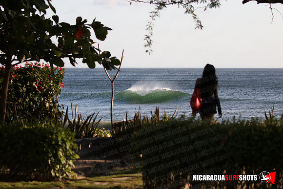 NSR_0002_Panga_Drops_January_18_2022_LR