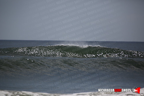 NSR_0620_Panga_Drops_April_11_2021_LR