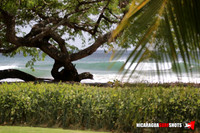 NSR_0004_2021_Panga_Drops_April_06_2021_LR