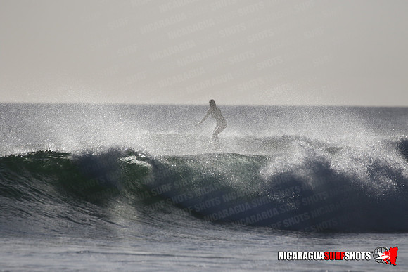 NSR_0444_Panga_Drops_January_23_2022_LR