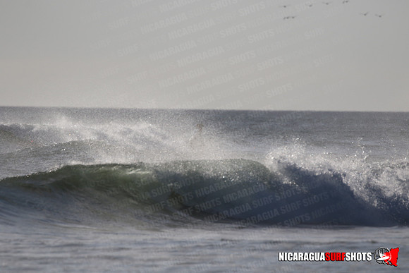 NSR_0327_Panga_Drops_January_23_2022_LR