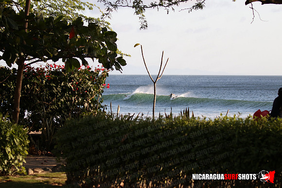 NSR_0010_Panga_Drops_January_18_2022_LR