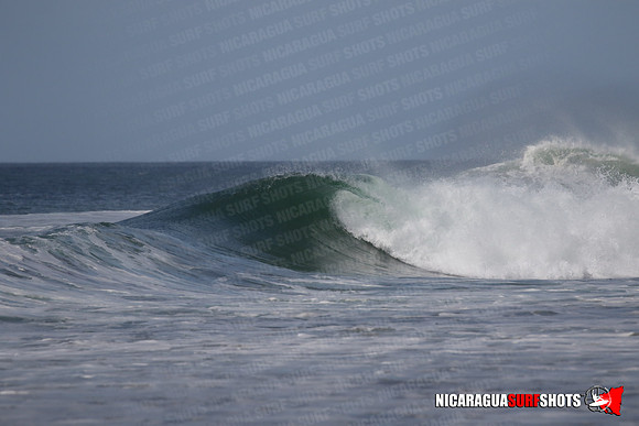 NSS_0168_Panga_Drops_January_29_2022_LR