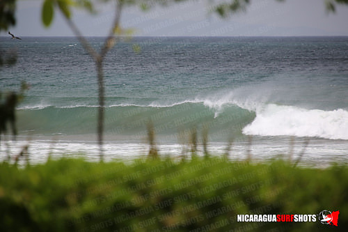NSR_0019_2021_Panga_Drops_April_06_2021_LR