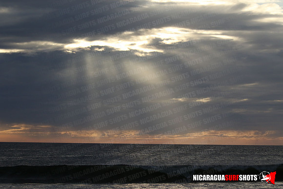 NSR_0700_Panga_Drops_January_26_2022_LR