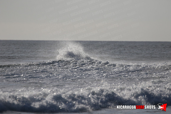 NSR_0425_Panga_Drops_January_23_2022_LR